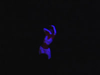 Belly dancer Amara